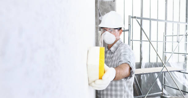 Best Emergency Mold Remediation  in Thousand Oaks, CA